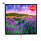 product-img-nav